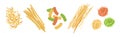 Wheat Pasta of Different Shape and Type Vector Set Royalty Free Stock Photo