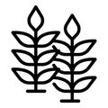 Wheat plant icon outline vector. Barley grain Royalty Free Stock Photo
