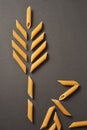 Wheat plant silhouette of raw Italian pasta penne on dark background