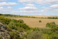 Wheat plantation view from above