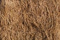 Wheat residues background Royalty Free Stock Photo