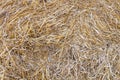 Wheat residues background Royalty Free Stock Photo