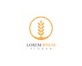 Wheat rice agriculture logo design icon vector template Royalty Free Stock Photo