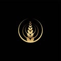 Wheat rice agriculture logo Ideas. Inspiration logo design. Template Vector Illustration. Isolated On black Background Royalty Free Stock Photo