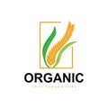 Wheat Rice Logo, Agricultural Organic Plants Vector, Luxury Design Golden Bakery Ingredients