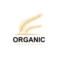 Wheat Rice Logo, Agricultural Organic Plants Vector, Luxury Design Golden Bakery Ingredients