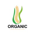 Wheat Rice Logo, Agricultural Organic Plants Vector, Luxury Design Golden Bakery Ingredients