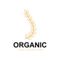 Wheat Rice Logo, Agricultural Organic Plants Vector, Luxury Design Golden Bakery Ingredients