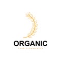 Wheat Rice Logo, Agricultural Organic Plants Vector, Luxury Design Golden Bakery Ingredients