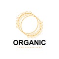 Wheat Rice Logo, Agricultural Organic Plants Vector, Luxury Design Golden Bakery Ingredients