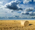 Wheat roll bales at field, sunrise scene. Royalty Free Stock Photo