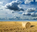 Wheat roll bales at field, sunrise scene.