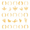 Wheat and rye ears. Harvest barley grain, growth rice stalk. Field cereal. Wreath spikes and stalks vector elements