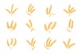 Wheat and rye ears. Harvest stalk grain spike icon. Elements for organic food logo, bread packaging or beer label