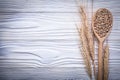 Wheat-rye ears wooden spoon corn on wood board copy space