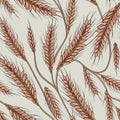 Wheat rye harvest seamless pattern, watercolor fall illustration on white background, autumn print