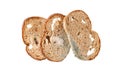 Wheat rye sliced bread with growing mold. Spoiled slices of bread closeup isolated on white background Royalty Free Stock Photo