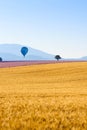 Wheat sage and lavender fields with hot air balloon and mountain on background