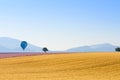 Wheat sage and lavender fields with hot air balloon and mountain on background