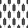 Wheat seamless pattern. Bakery background. Bread grain texture. Spike wheat. Stalk oat, barley, corn, rye, malt, bran, millet, mai Royalty Free Stock Photo