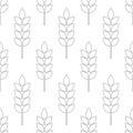 Wheat seamless pattern. Bakery background. Bread grain texture. Spike wheat. Stalk oat, barley, corn, rye, malt, bran, millet, mai Royalty Free Stock Photo