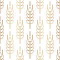 Wheat seamless pattern. Bakery background. Bread grain texture. Spike wheat. Stalk oat, barley, corn, rye, malt, bran, millet, mai Royalty Free Stock Photo