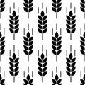 Wheat seamless pattern. Bakery background. Bread grain texture. Spike wheat. Stalk oat, barley, corn, rye. Harvest seed for flour.