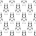 Wheat seamless pattern. Bread grain texture. Stalk oat, barley, corn, rye, malt, bran, millet, maize, rice background. Ear of whea Royalty Free Stock Photo