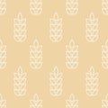 Wheat seamless pattern. Design wheat bread prints. Repeated ear background. Repeating oat field. Texture malt. Beer grain. Rice
