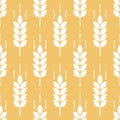 Wheat seamless pattern. Grain malt and barley, oat, rice, millet, maize, bran or corn. Beige ear background. Texture plant for des Royalty Free Stock Photo