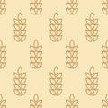 Wheat seamless pattern. Repeating gold grain. Oat background. Repeated flour patterns. Spike corn. Texture golden bakery. Repeat