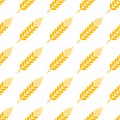 Wheat seamless pattern