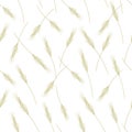 Wheat seamless pattern for your design
