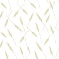 Wheat seamless pattern for your design