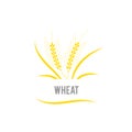 Wheat seed food cereal brew. Agriculture wheat Logo.