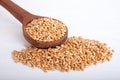 Wheat seeds in big wooden spoon on white background, perspective view