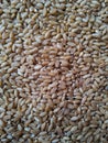 Wheat seeds close up photo Royalty Free Stock Photo