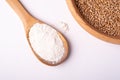 Wheat seeds grains in wooden bowl near with flour in spoon spatula, top view, flat lay, isolated on white background Royalty Free Stock Photo