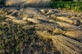 Wheat sheaves in a pile Royalty Free Stock Photo