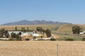 Wheat and sheep farm near Caledon, South Africa