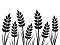 Wheat silhouette on white background. Royalty Free Stock Photo