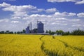 Wheat silo and wheat field