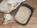 Wheat sourdough starter, top view, copy space Royalty Free Stock Photo