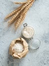 Wheat sourdough starter, top view, copy space Royalty Free Stock Photo