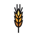 The wheat spike icon. An ear is a kind of inflorescence of angiosperms. Wheat is a genus of herbaceous, annual plants of the Cerea