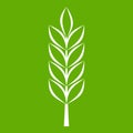 Wheat spike icon green Royalty Free Stock Photo