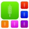 Wheat spike set color collection Royalty Free Stock Photo