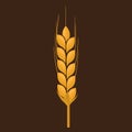 Wheat spike yellow isolated on white background. Flat color Royalty Free Stock Photo