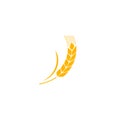 Wheat spike yellow isolated on white background. Grain plant silhouette. Spica icon. Ear organic. illustration flat