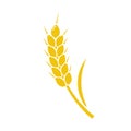 Wheat spike yellow isolated Royalty Free Stock Photo